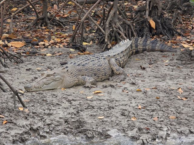 20250808_100450-1600px