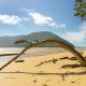 Go to Hinchinbrook Experience