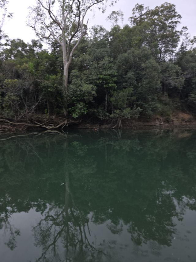 20250731_154325-1600px